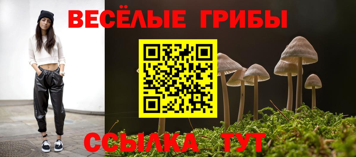 Галлюциногенные грибы Cubensis  Галлюциногенные грибы GOLDEN TEACHER  Вход с VPN  Чапаевск 